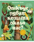 Откъде идват нещата около нас?
