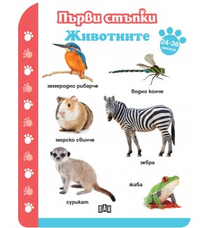Първи стъпки: Животните (24-36 месеца)