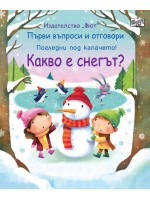 Първи въпроси и отговори: Какво е снегът?