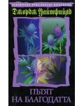 Пътят на благодатта