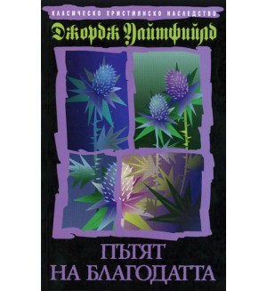 Пътят на благодатта