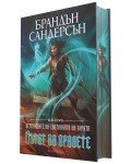 Пътят на кралете (Летописите на Светлината на Бурята 1) - Лимитирано издание