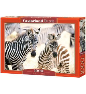 Пъзел Castorland от 1000 части - Млади зебри