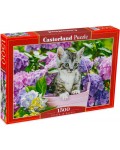 Пъзел Castorland от 1500 части - Коте в кошничка
