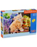 Пъзел Castorland от 180 части - Котенце