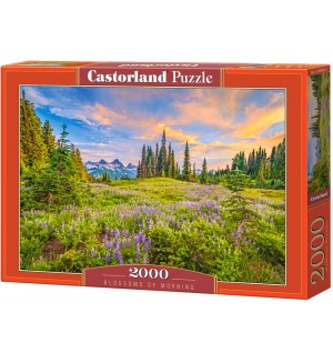 Пъзел Castorland от 2000 части - Цветовете на утрото