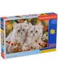 Пъзел Castorland от 200 части - Котенца
