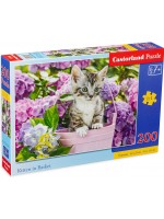 Пъзел Castorland от 200 части - Сладко коте