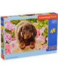 Пъзел Castorland от 260 части - Кученце