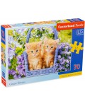 Пъзел Castorland от 70 части - Сладки котенца