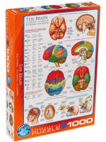 Пъзел Eurographics от 1000 части – Човешкото тяло, Мозък 