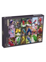 Пъзел Grafika от 1500 части - Най-красивите птици в света Пъзел Grafika от 1500 части - Най-красивите птици в света