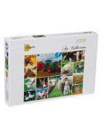 Пъзел Grafika от 1500 части - Селскостопански животни Пъзел Grafika от 1500 части - Селскостопански животни