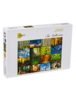 Пъзел Grafika от 2000 части - Дървета