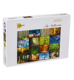 Пъзел Grafika от 2000 части - Дървета