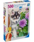 Пъзел Ravensburger от 500 части - Хъски