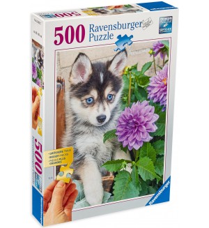 Пъзел Ravensburger от 500 части - Хъски