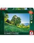 Пъзел Schmidt от 1000 части - Св. Гален, Швейцария