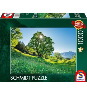 Пъзел Schmidt от 1000 части - Св. Гален, Швейцария