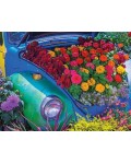 Пъзел Springbok от 500 части - Цветно