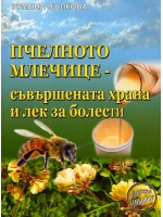 Пчелното-млечице - съвършената храна и лек за болести