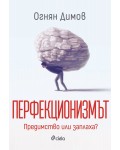 Перфекционизмът: Предимство или заплаха?