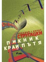 Пикник край пътя