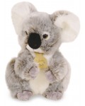 Плюшена играчка Doudou - Коала, 20 cm