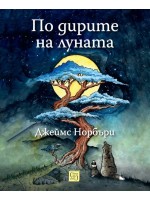 По дирите на луната