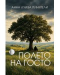 Полето на Госто