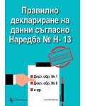 Правилно деклариране на данни съгласно Наредба № Н-13 - практическо ръководство