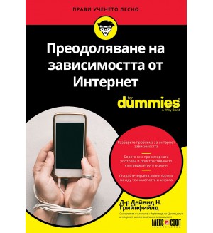 Преодоляване на зависимостта от Интернет For Dummies