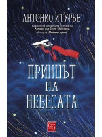 Принцът на небесата