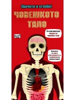 Човешкото тяло (Прочети и сглоби!)