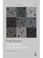 Просякът от Йерусалим