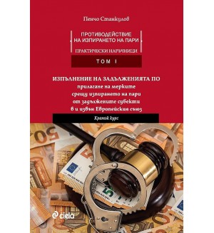 Противодействие на изпирането на пари: Практически наръчници - Том I