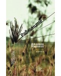 Равнините