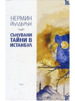 Сънувани тайни в Истанбул