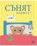 Сънят. Какво е?