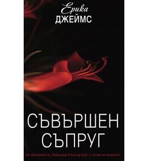 Съвършен съпруг