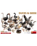 Сглобяем модел MiniArt Животни - Патици и гъски