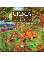 Сима - сухоземната костенурка