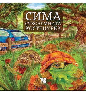 Сима - сухоземната костенурка