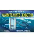Сканорама: Удивителните животни