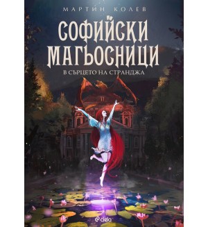 Софийски магьосници 2: В сърцето на Странджа