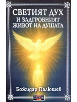 Светият дух и задгробният живот на душата