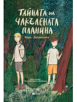 Тайната на чакълената планина
