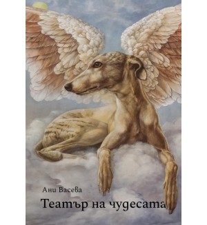Театър на чудесата