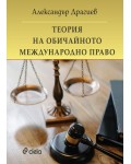 Теория на обичайното международно право