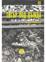 Тигър под дъжда
